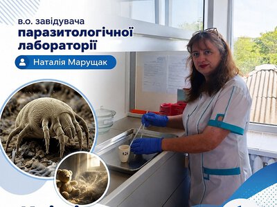 В домах жителей Николаевской области обнаружили шесть видов пылевых клещей