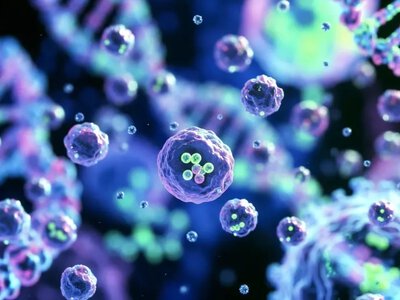 Революция в наномедицине: ученые раскрыли хаос внутри лекарственных наноконтейнеров
