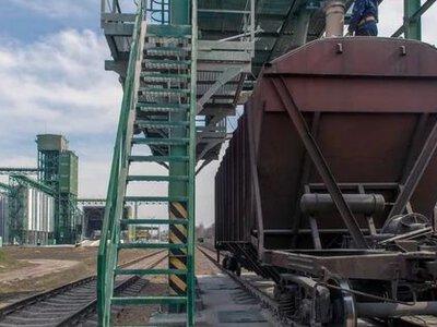 Укрзализныця нарастила экспорт зерна в мае: куда отправили больше всего