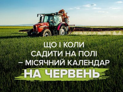 Что и когда сеять в июне 2026: лучшие даты для работ на поле