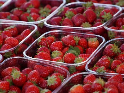Весенние морозы уничтожили более 20% потенциального урожая клубники