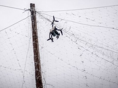 Эстония начала устанавливать средства защиты от дронов на границе с Россией