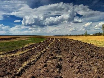Земля в Одесской области стала одной из самых дешевых в Украине