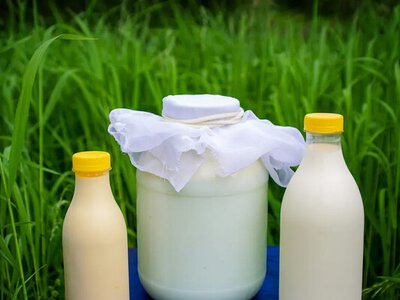 Молоко под подозрением: в какие мифы о «полезном продукте» до сих пор верят украинцы
