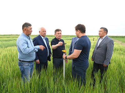 Широко внедряются водосберегающие технологии