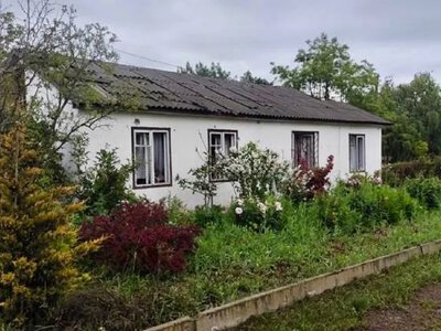 В Одессе из-за ночной атаки повреждены теплицы и котельная «Горзелентреста» (фото)