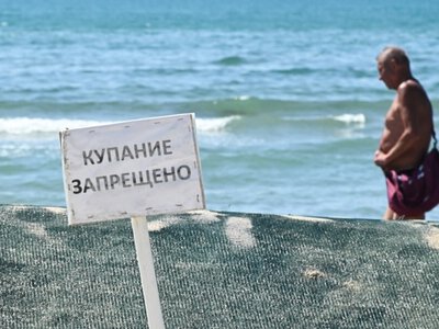 Власти Кубани скрывали разлив четырех тысяч тонн пальмового масла в море