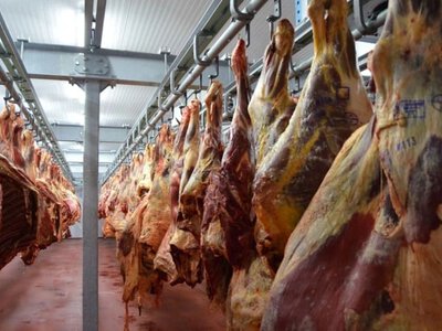 Производство мяса всех видов в Казахстане за четыре месяца 2026 года превысило 338 тыс. тонн