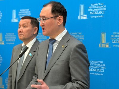  Амнистия для Перизат Кайрат и Бишимбаева? В МВД сделали заявление 