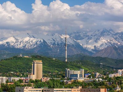 26 эко-акций за три месяца: молодежь Алматы вовлекают в экологическую культуру