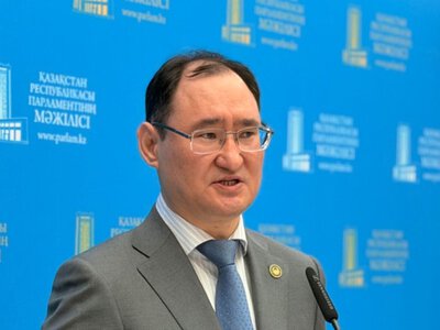  Примирение сторон не значит избежать ответственности — МВД об Александре Пак 