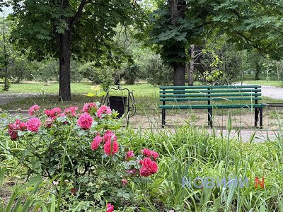 Иллюзия ухоженности: как сегодня выглядит парк Народный сад в Николаеве (фоторепортаж)
