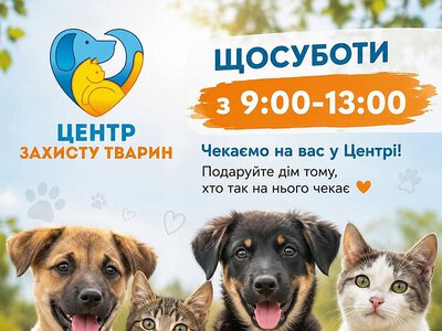 В Николаеве на лето отменили выставки животных в Каштановом сквере: названа причина