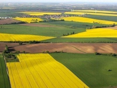 Рынок земли в Украине: гектар за год подорожал на треть, а сумма сделок приближается к 50 миллиардам