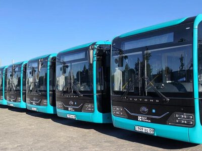 Из Караганды на фестиваль кумыса в Каркаралинск гостей доставят бесплатные автобусы