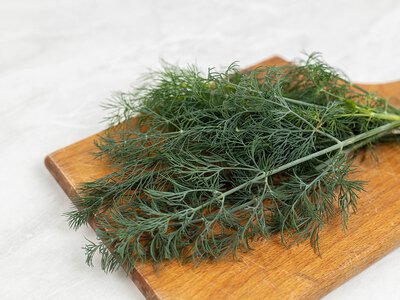 Альтернатива заморозке: как сохранить яркий вкус и свежий аромат укропа на долгие месяцы