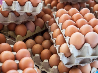  Нелегальную яичную продукцию продавали на рынке в Шымкенте 