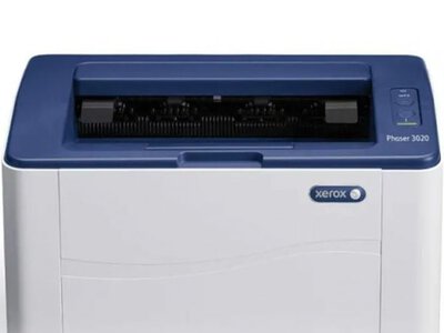 Принтер Xerox: как выбрать надежное устройство для печати