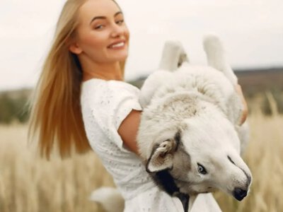 Животное души по месяцу рождения: какой образ скрывает ваш характер