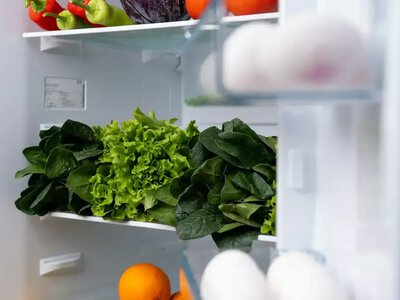 Ловушка на дверце холодильника: где должны лежать продукты, чтобы не стать источником бактерий