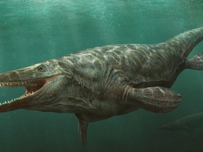 Школьник нашел останки гигантского доисторического монстра: как случай стал сенсацией