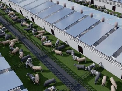  Новый мясной гигант появится в Казахстане уже к 2027 году 
