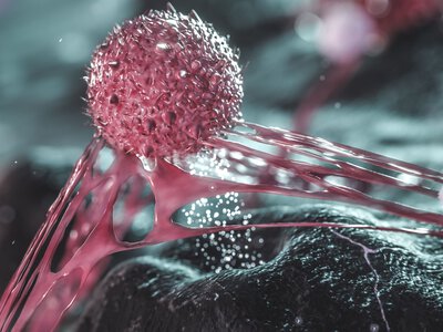  Американская Johnson & Johnson покупает Firefly Bio за $1 млрд для разработки новых противораковых препаратов 