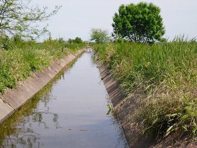 После взрыва Каховской ГЭС: на правом берегу Херсонской области возобновляют орошение полей