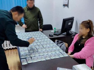 Казахстанка пыталась вывезти из страны почти 300 тысяч долларов 