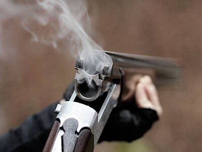  Мужчина в состоянии опьянения застрелил собаку в Семее 