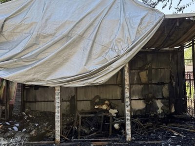  В Алматинском зоопарке произошел пожар 