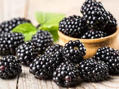 Ежевика, яблоки и зеленый чай — ученые назвали лучшие продукты для здоровья сердца
