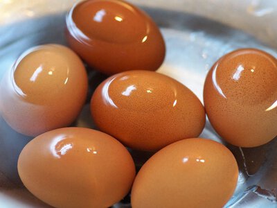 Почему яйцо при варке трескается и как этого избежать: секрет опытных кулинаров