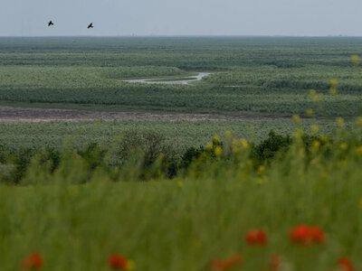 UAnimals закликає визнати Великий Луг спадщиною ЮНЕСКО