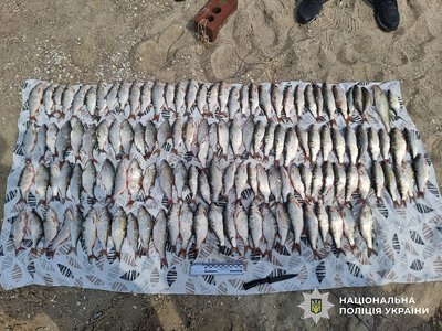 На Николаевщине браконьеры попались с уловом во время ночного рейда