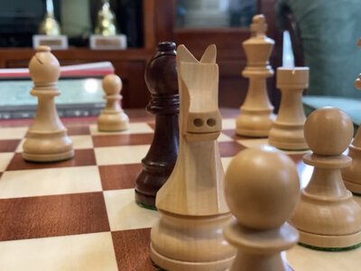 ФИДЕ приостановила членство Федерации шахмат России