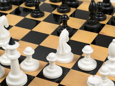ФИДЕ временно приостановила членство Федерации шахмат россии