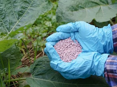Почему удобрения дешевеют и как это влияет на урожай и доходы фермеров