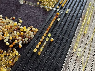 Уничтожено 700 деревьев и 50 га леса: в Ровенской области разоблачили незаконную добычу янтаря