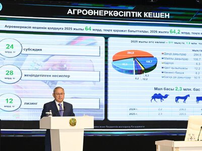 Бейбит Исабаев поручил акиму города Текели ускорить работу по подключению абонентов к газу