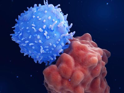 Xərçəngə qarşı dünyada bir ilk - Yeni peyvənd hazırlandı