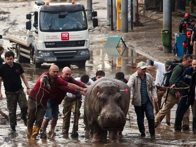 Прошло 11 лет со дня разрушительного наводнения в Тбилиси