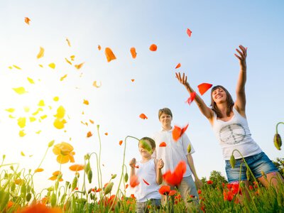Основные принципы концепции «Global Wellness Day» в повседневной жизни