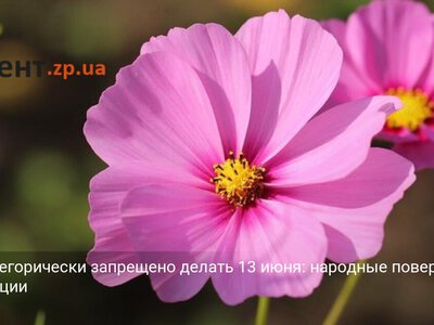 Что категорически запрещено делать 13 июня: народные поверья и традиции