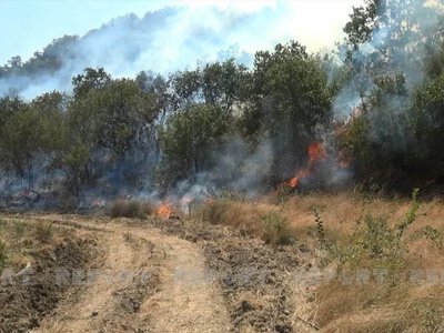  В США разбился военный самолет 