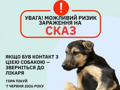 В Закарпатье лабораторно подтвердили бешенство у собаки, найденной на горе Пикуй