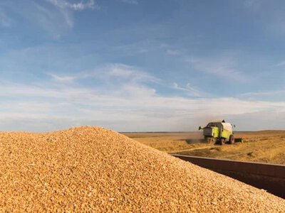 Мировые цены на зерно и масло обрушились из-за ожидаемого перемирия США и Ирана