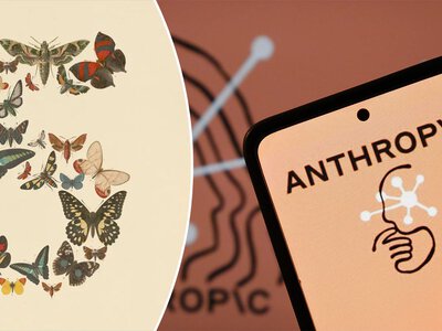 Все не так просто: вот почему Белый дом приказал Anthropic закрыть доступ к Fable 5