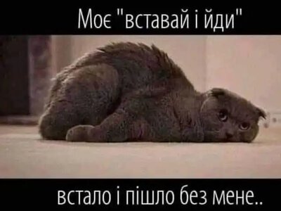 Одесский юмор: когда мир катится в тартарары, но с улыбкой