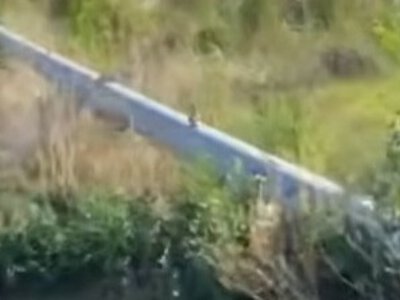  Фермер тайно качал воду из стратегического канала в Павлодарской области 